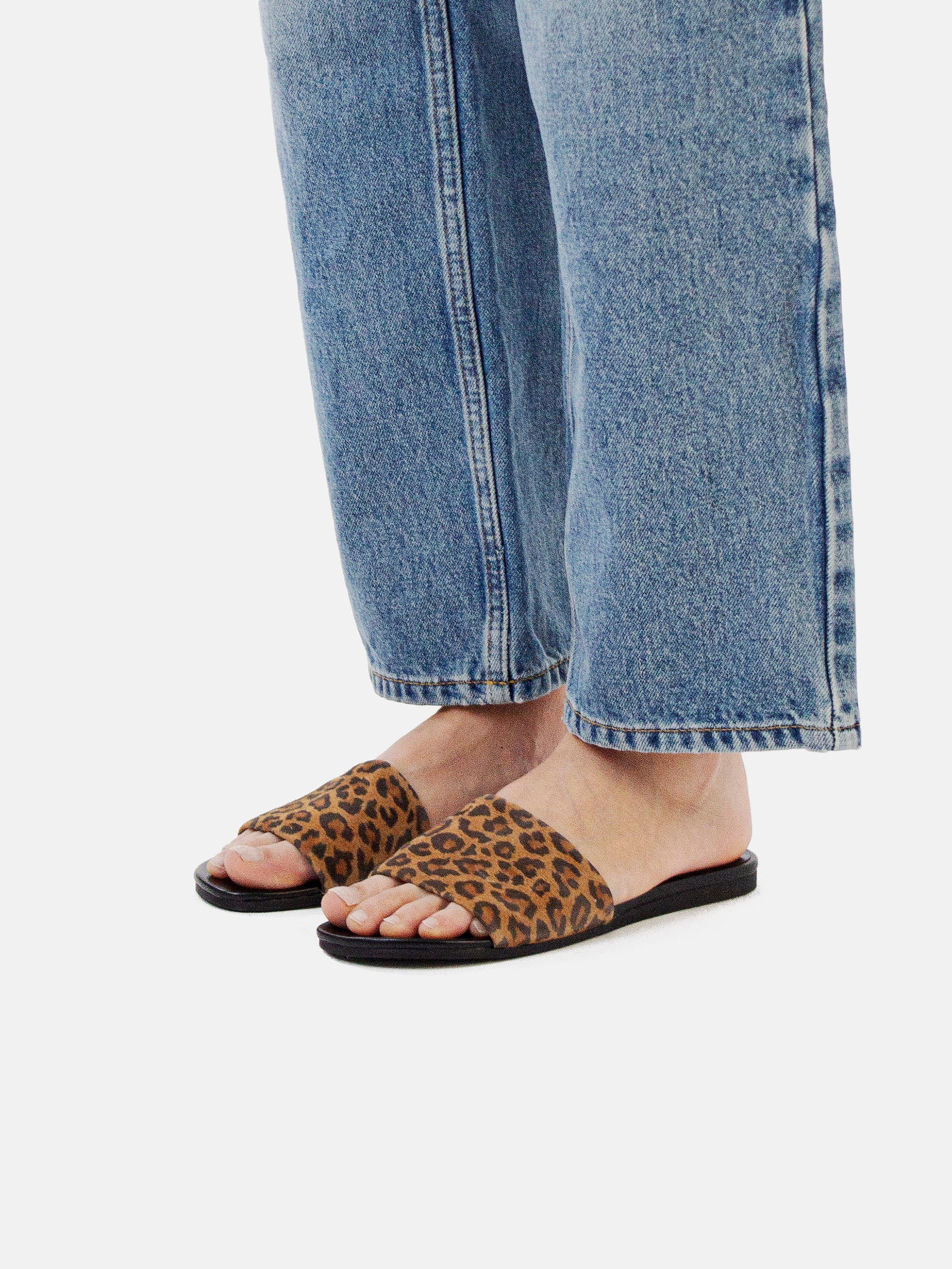 4f1b0499f87919416f874600515fd77c