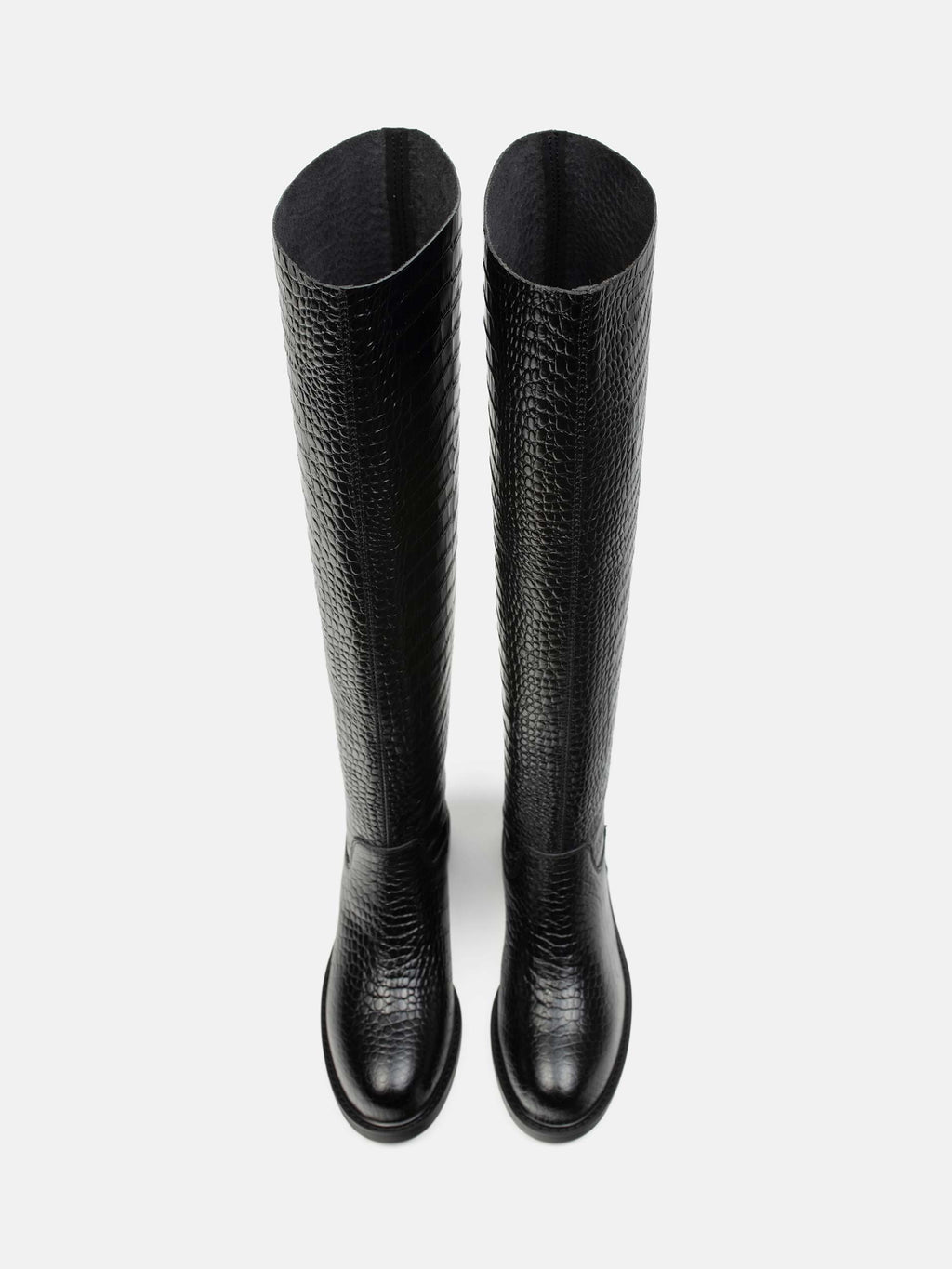 e485884a2b6e9098fce3c03f8775cbc2