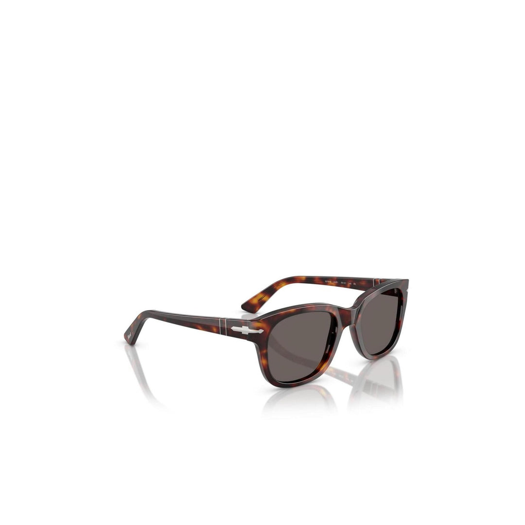Persol - Persol Men Sunglasses