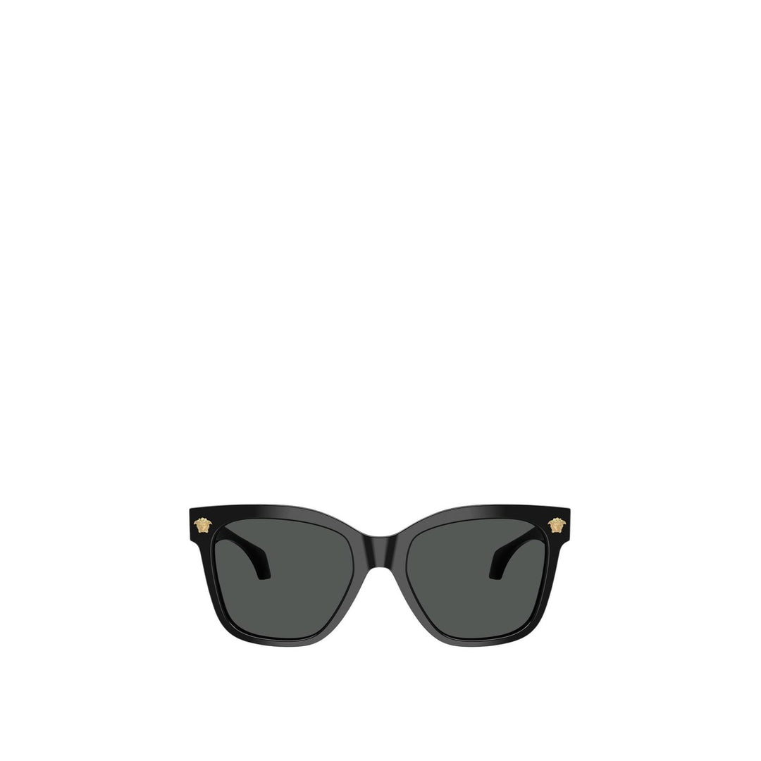 Versace - Versace Men Sunglasses