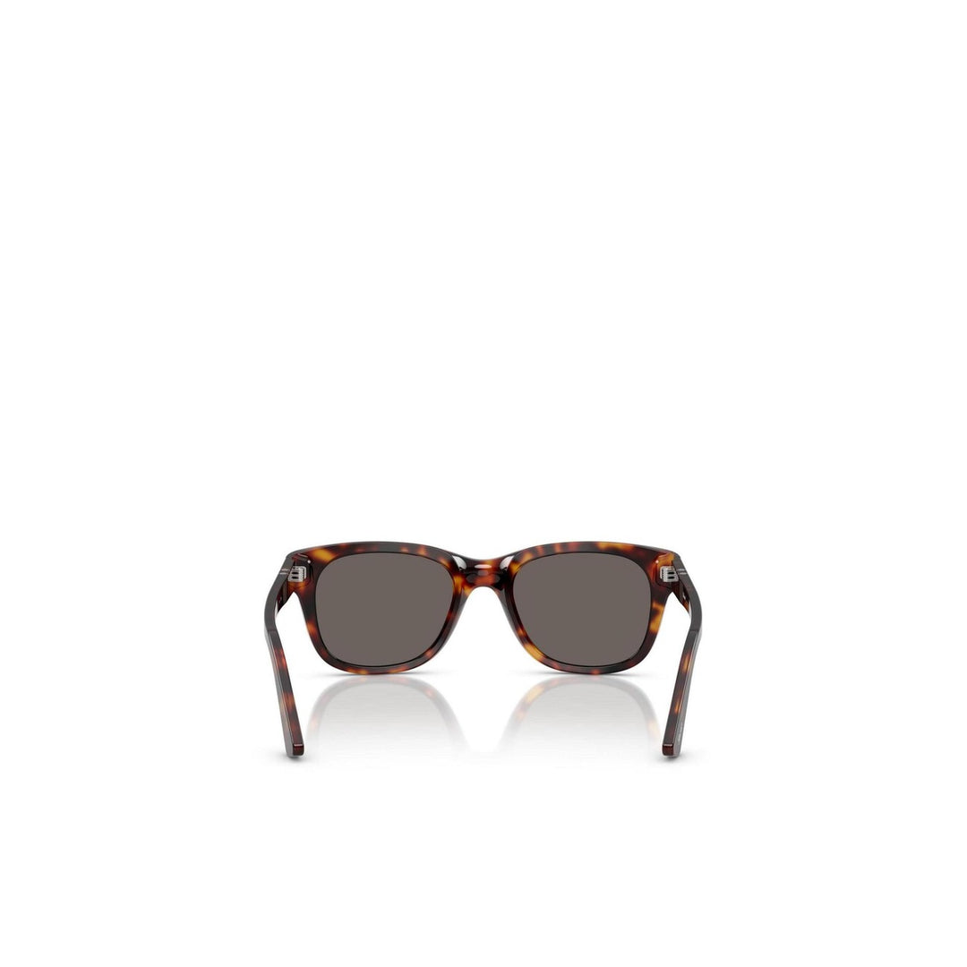 Persol - Persol Men Sunglasses